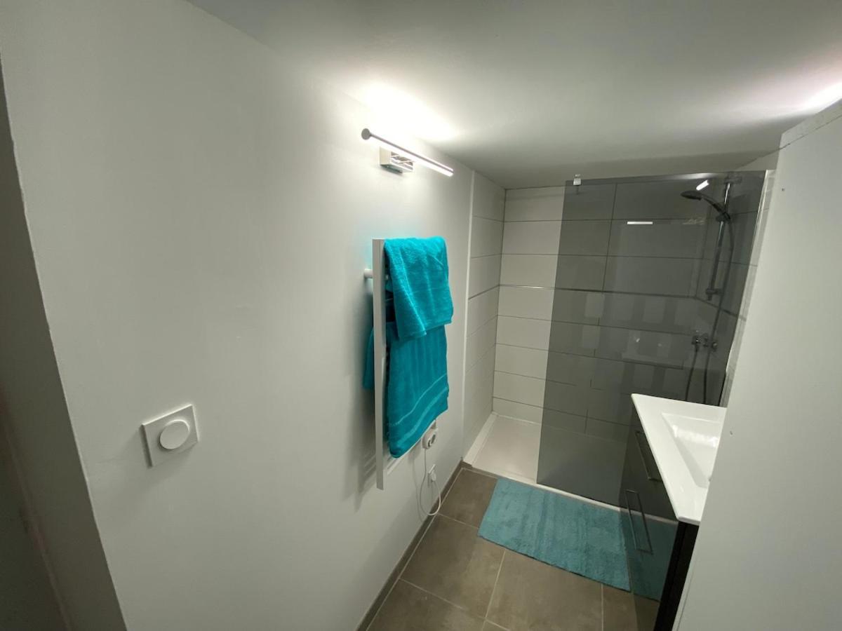 Superbe Appartement Climatise Avec Patio Montpellier Bagian luar foto